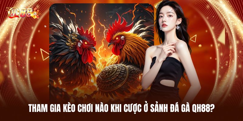 Nên Tham Gia Kèo Chơi Nào Khi Cược Ở Sảnh Đá Gà QH88?
