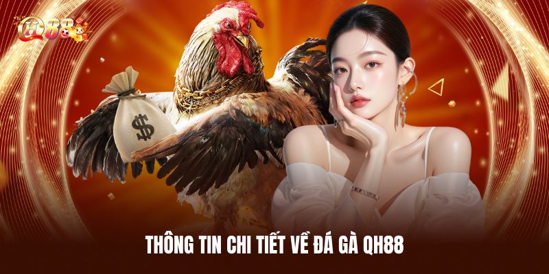 Thông Tin Chi Tiết Về Đá Gà QH88