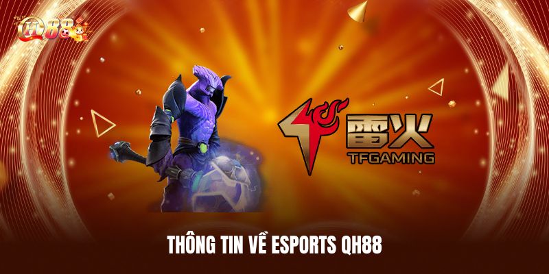 Esports QH88 - Trải Nghiệm Cá Cược Thể Thao Điện Tử Đỉnh Cao 1 Thông Tin Về Esports QH88