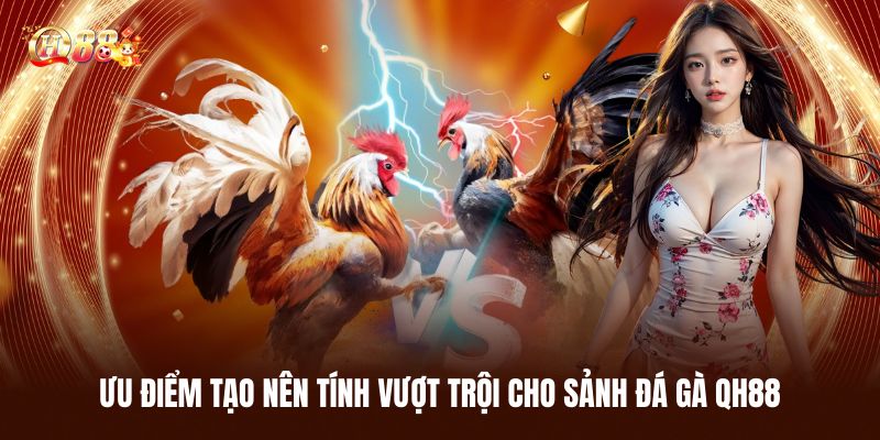Ưu Điểm Tạo Nên Tính Vượt Trội Cho Sảnh Đá Gà QH88